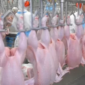Buy frozen chicken from Brazil