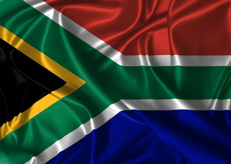 Frozen Chicken Brazil Supplier/ Brazil Sugar Supplier