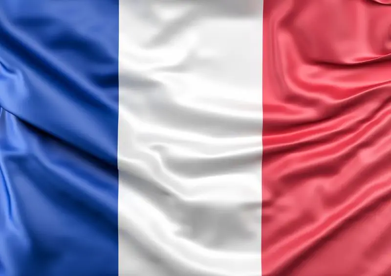 Frozen Chicken Brazil Supplier/ Brazil Sugar Supplier