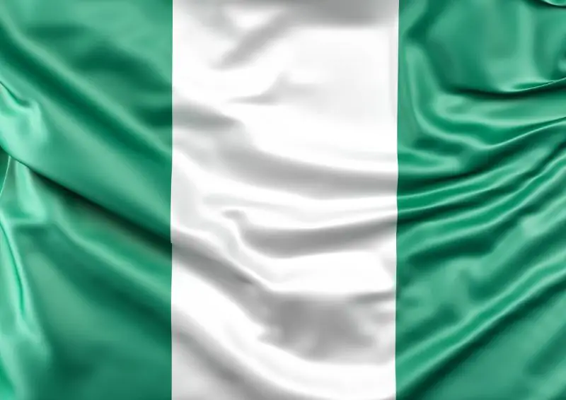 Frozen Chicken Brazil Supplier/ Brazil Sugar Supplier