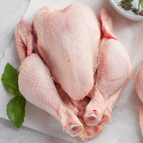 Frozen Chicken Brazil Supplier/ Brazil Sugar Supplier