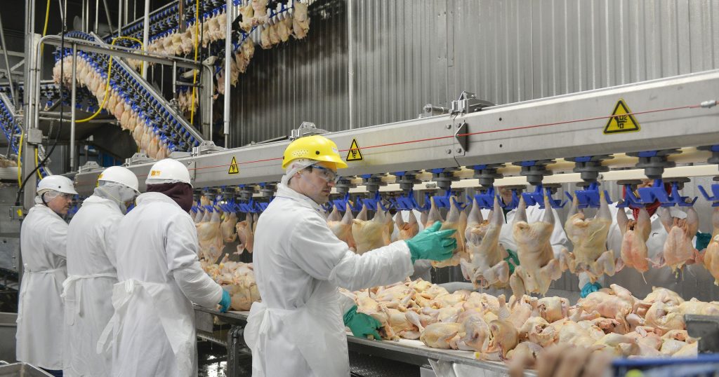 Brazil Frozen Chicken Supplier