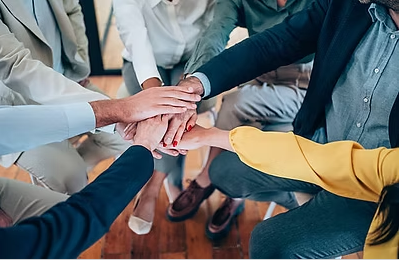 Frozen Chicken Brazil Supplier/ Brazil Sugar Supplier