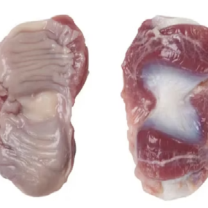 Frozen chicken gizzard Brazil